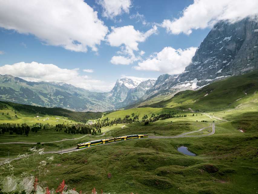 Statut de fonctionnement