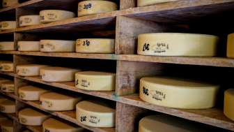 Visite de la fromagerie