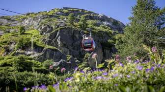 50% discount: Hospizbahn, Grimsel Hospiz