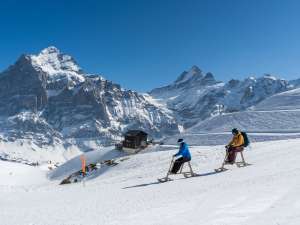 Velogemel Grindelwald