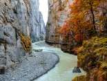 The footbridge in the Aare Gorge runs along the rocks just above the water. It is fall; the leaves on the trees are red, and there is a slightly rainy atmosphere.