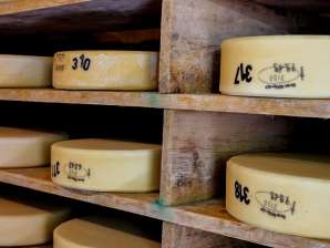 Alpine cheese aged on the Grosse Scheidegg in Grindelwald.