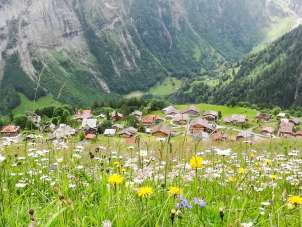 Le village de montagne de Gimmelwald, où les voitures sont interdites, photographié depuis une prairie fleurie en été.
