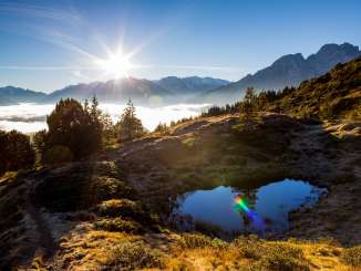 Ein Tümpel im Hochmoor im Haslital spiegelt die Tanne im Wasser. Die Sonne scheint am Horizont über dem Nebelmeer.