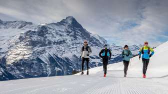 Trail Running d'hiver