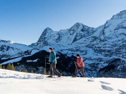 Ernst & Monikas Wält