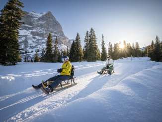 Two people are sledding one behind the other on the Grosse Scheidegg–Schwarzwaldalp sledding run. The low-hanging sun shines through the trees, casting long shadows on the snow. The Wetterhorn rises in the background.