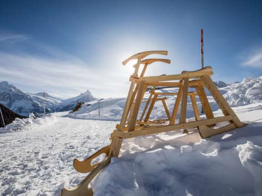 Der Velogemel. Ein Kuriosum des Eigerdorfs.