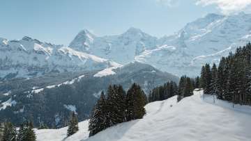 Aus der Vogelperspektive zeigt sich die verschneite Landschaft entlang der BLM-Strecke zwischen Grütschalp und Mürren. Die Bahnlinie führt durch weisse Hänge, vorbei an einzelnen Hütten und Tannen mit Blick auf die umliegende Bergwelt.