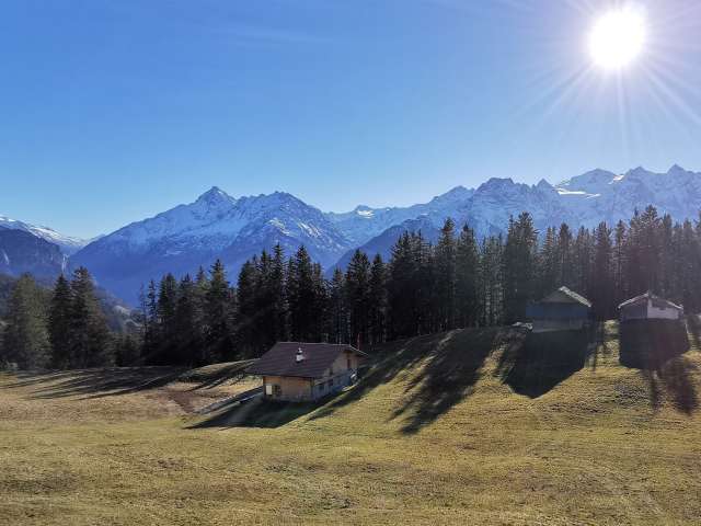 Lischen: Flower paradise on the Hasliberg