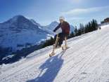 Velogemel Grindelwald