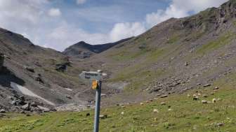 Wegweiser