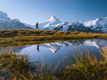 Wanderung beim Bachalpsee, mit verschneitem Schreckhorn im Hintergrund.