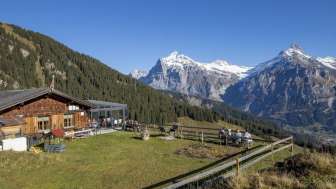 Bergrestaurant Bussalp 1