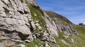 Riggli climbing garden
