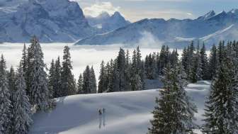 Guided snowshoe tour