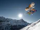 The First Glider races down the mountain. In the background, the sun shines over the snow-covered Eiger.