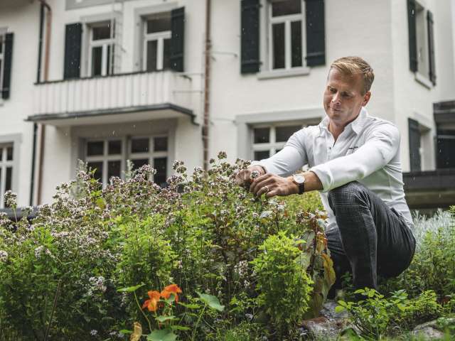 Perfektion auf dem Teller