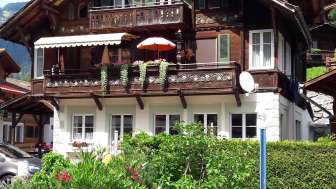 Almenrausch