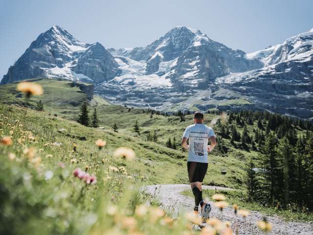 Le plus beau parcours de marathon du monde