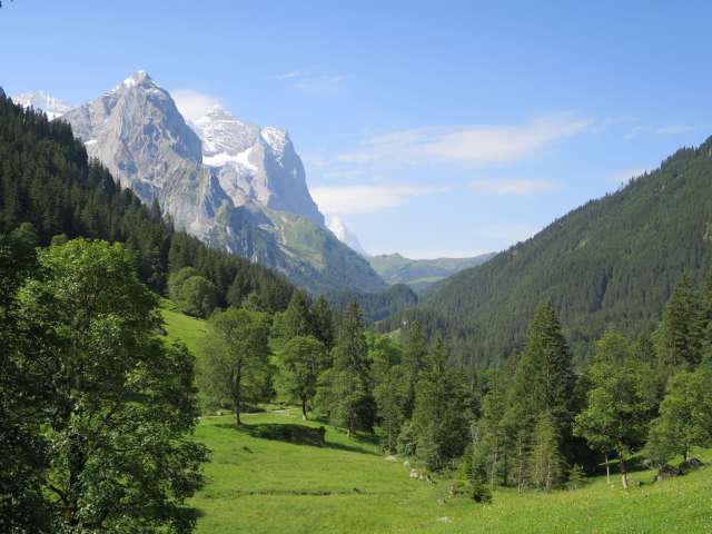 Gems in the Reichenbach valley