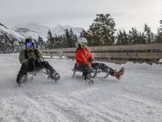 Two people sledding in the snow in winter from Kleine Scheidegg to Wengen. Snow-covered fir trees and other trees can be seen in the background.