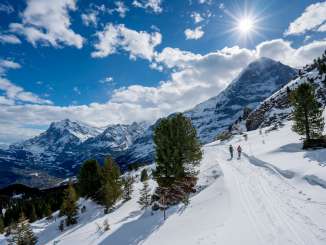 Randonnée hivernale sur les sentiers enneigés autour de Grindelwald. Les randonneurs profitent de cette journée ensoleillée et de la vue imprenable sur l'Eiger.