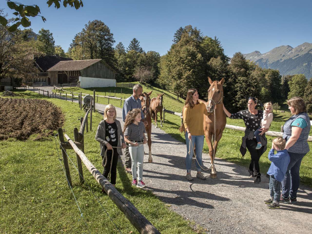25% discount: Admission to the Ballenberg Open-Air Museum 