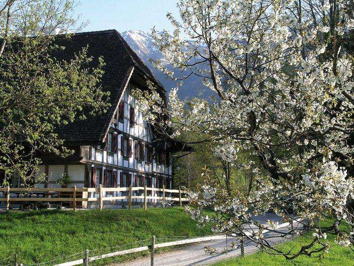 Auberge Alter Bären