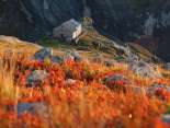 The Gleckstein Hut above Grindelwald, surrounded by rocks and alpine plants in their autumnal colors, bathed in the warm evening light.