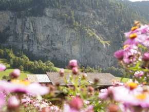 Spring in the village of Lauterbrunnen. Flowers can be seen in the foreground. Steep rock faces are visible in the background.