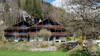 Haslibergoase