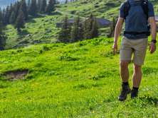 Two hikers are walking along a meadow path on the Grosse Scheidegg. Surrounded by lush green alpine meadows and dense mountain forests, they enjoy the view of the surrounding mountain landscape under a sunny sky dotted with scattered clouds.