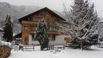 Edelweiss
