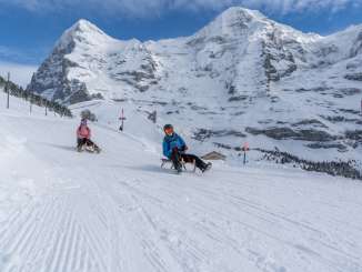 A thrilling toboggan ride down the Fox Run on the Männlichen. In the background stretches the white trio of the Eiger, Mönch, and Jungfrau.