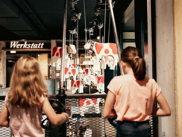 20% discount: Trauffer World of Experiences