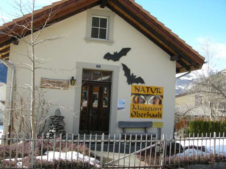 Oberhasli Nature Museum