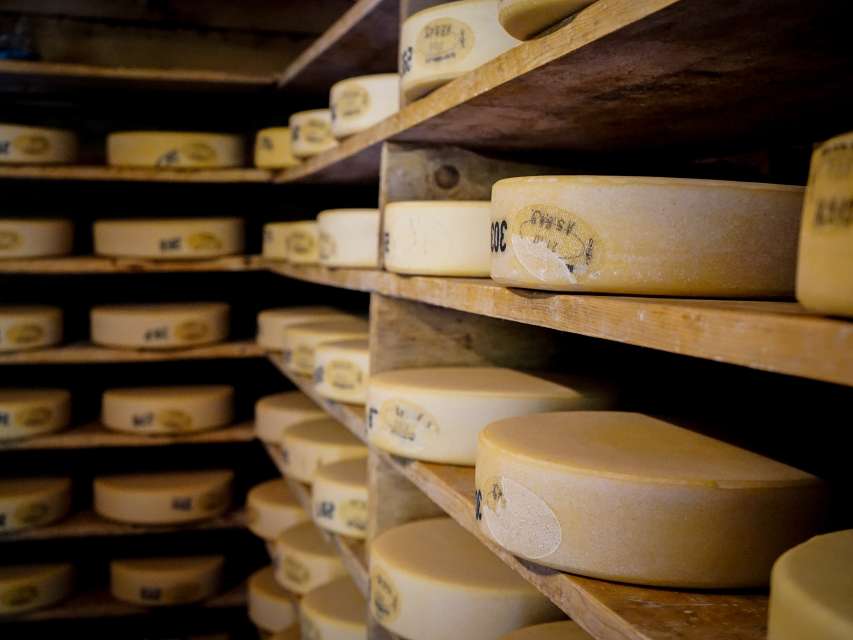 Käse, Käse – und noch mehr Käse