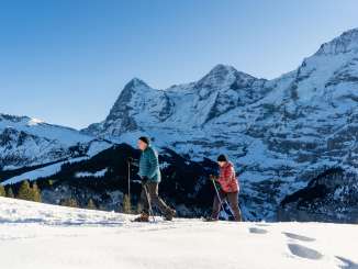Unterwegs in der verschneiten Landschaft bei sonnigem Wetter mit den Schneeschuhen. Der Schneeschuhtrail in Mürren bietet eine einmalige Sicht auf Eiger, Mönch und Jungfrau.