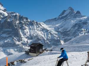 Velogemel Grindelwald