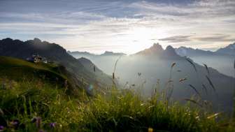 Aussicht mit Blumen