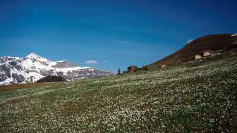 Hotel Jungfrau Wengernalp
