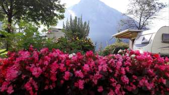 Camping gorges de l'Aar