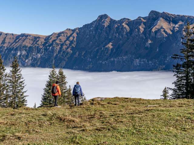 Wanderungen