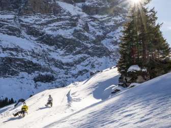 Zwei Personen fahren auf Schlitten die verschneite Piste von der Grossen Scheidegg – Schwarzwaldalp talwärts. Die tief stehende Sonne scheint zwischen einer Tanne und neben dem Wetterhorn hindurch und sorgt für starkes Gegenlicht. 