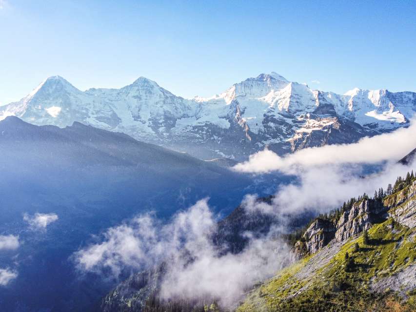 Rencontre avec des animaux dans la région de la Jungfrau