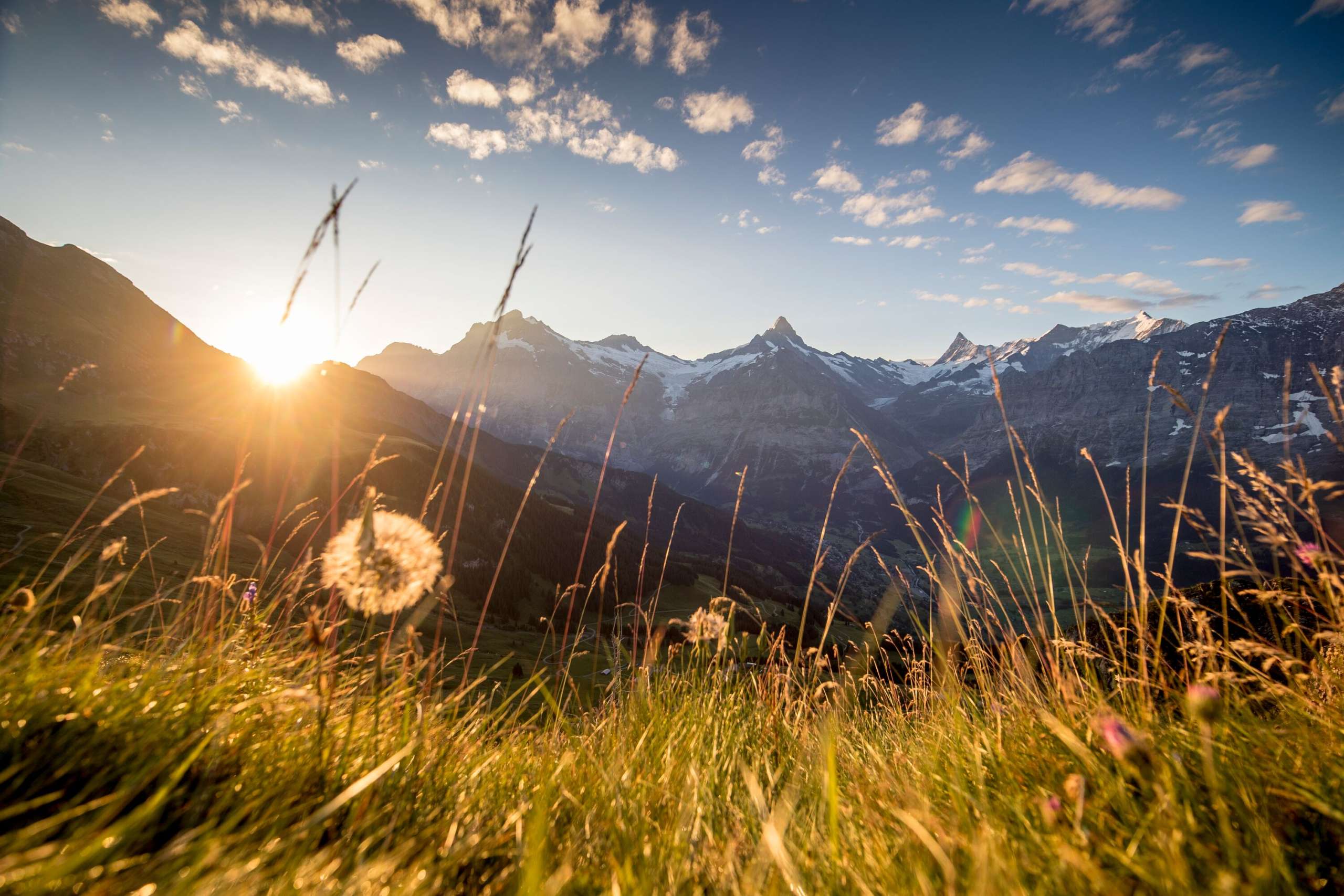 Grindelwald Bussalp