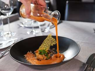 Close-ups of gourmet dishes