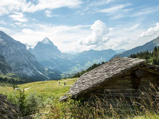 From the Schwarzwaldalp via the Grosse Scheidegg to Bort