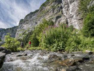 Die Wanderer und der Hund überqueren den Bergbach auf der Wanderung im Lauterbrunnental. Im Hinterrund ragen steile Felswände dem Himmel entgegen.